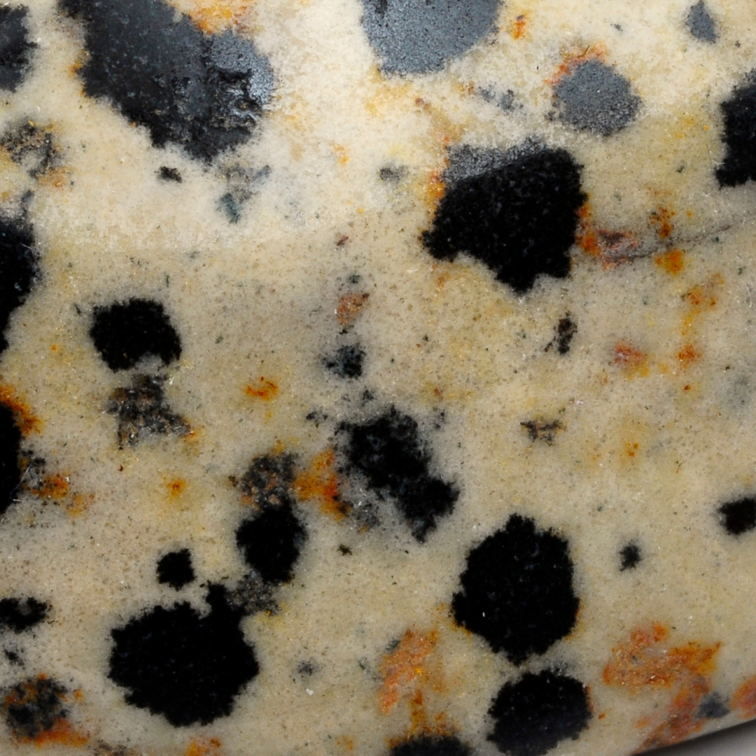 DALMATION JASPER